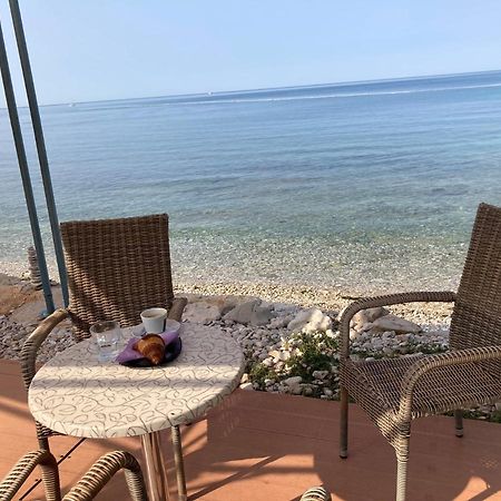 Apartment Sommer Novigrad Istria Eksteriør bilde