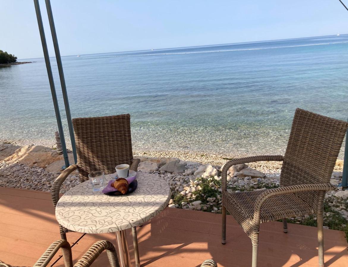 Apartment Sommer Novigrad Istria Eksteriør bilde