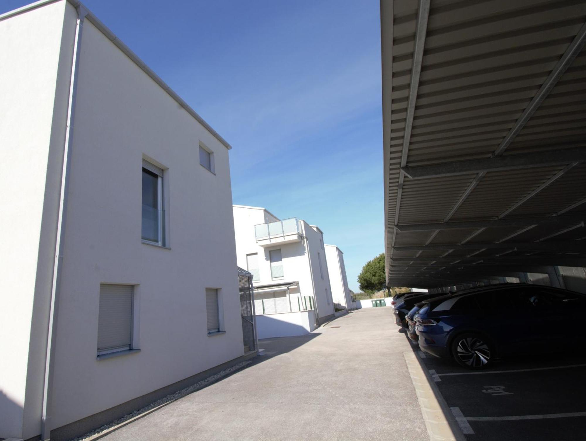 Apartment Sommer Novigrad Istria Eksteriør bilde