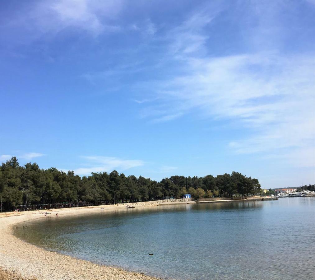 Apartment Sommer Novigrad Istria Eksteriør bilde